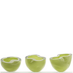 Simone van Bakel